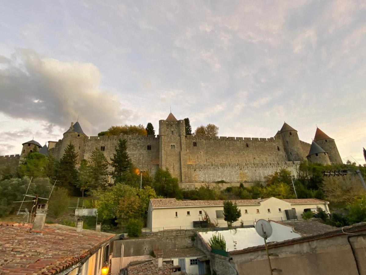 Au Pied De La Cite, T3 Au Calme Carcassonne Exterior foto